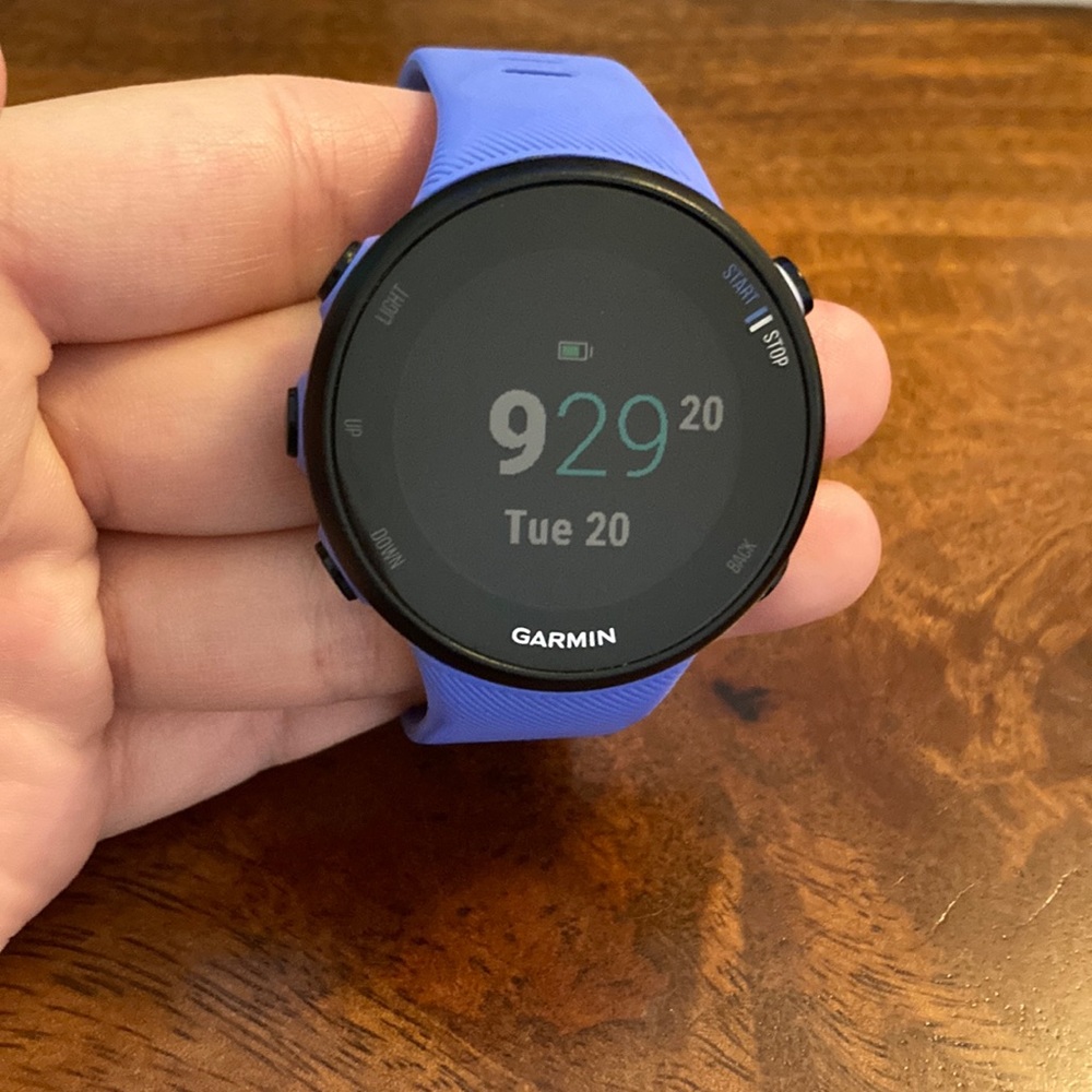 Purple Garmin Forerunner 45S